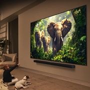 LG 43 inčni LG QNED evo AI QNED85 4K pametni televizor 2025, 43-inčni LG QNED evo AI QNED85 4K pametni televizor 2025, 43QNED87A3D, thumbnail 10