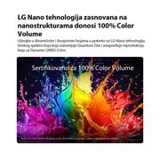 LG 85-inčni LG QNED AI QNED72 Mini LED 4K pametni TV 2026, LG QNED AI QNED70 Mini LED s funkcijom Dynamic QNED Color ispunjava ekran eksplozivnim živim, fluidnim pokretima koji podsećaju na razne boje, što pokazuje poboljšanu živopisnost boja sertifikovanu ra, 85QNED72B3A, thumbnail 4
