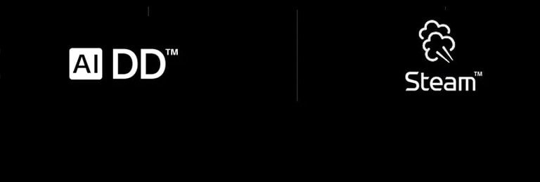 White-01-2-Vivace-Intro-