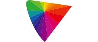 Ikonica sa slikom DCI standarda