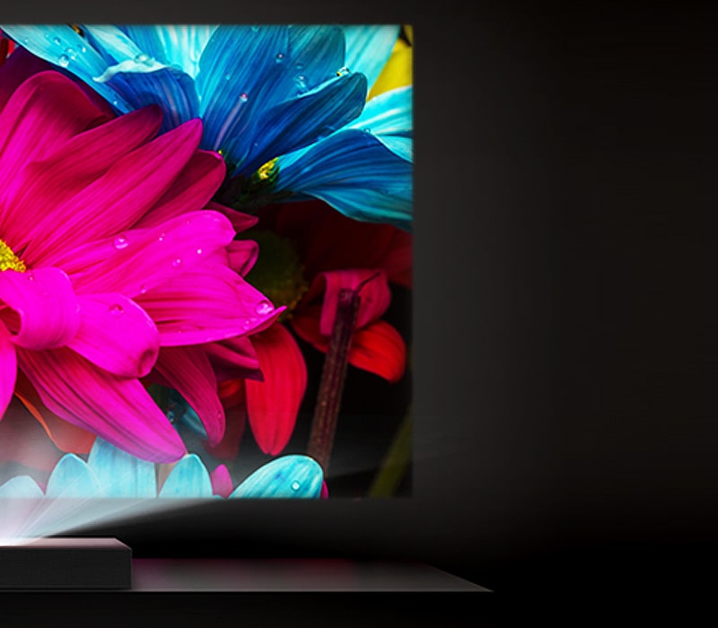 Slika bogata bojama preko tehnologije LG Wheel-less Laser & LED