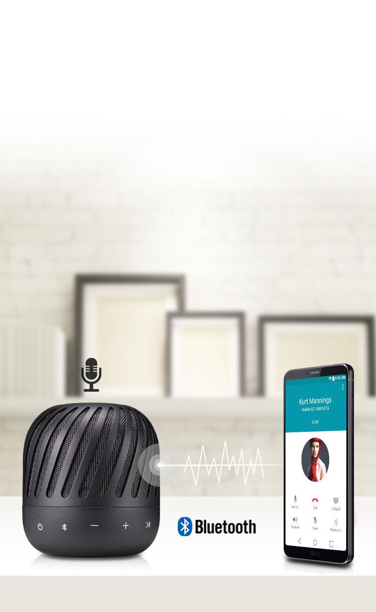 Lg portable speaker best sale pj2