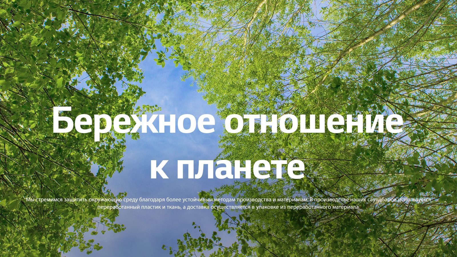 Зеленое изображение, наполненное покрытыми листвой деревьями, и небом между ними.