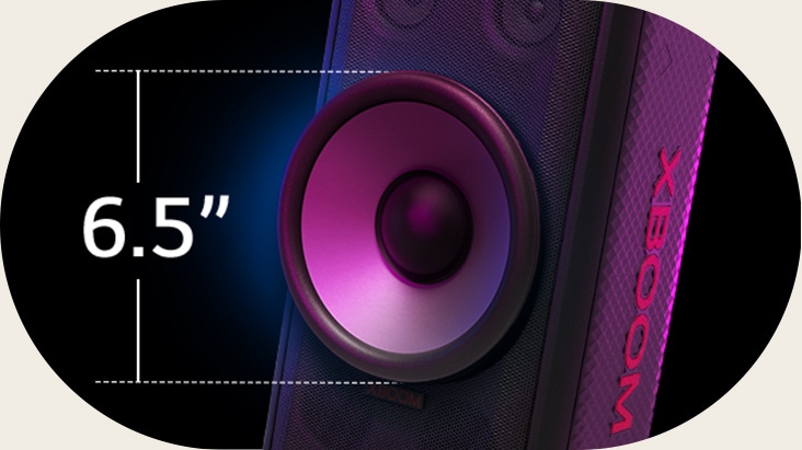 Крупный план одного гигантского 6,5-дюймового сабвуфера. Слева написано «6,5"», сверху на динамике отображается звуковой эквалайзер.