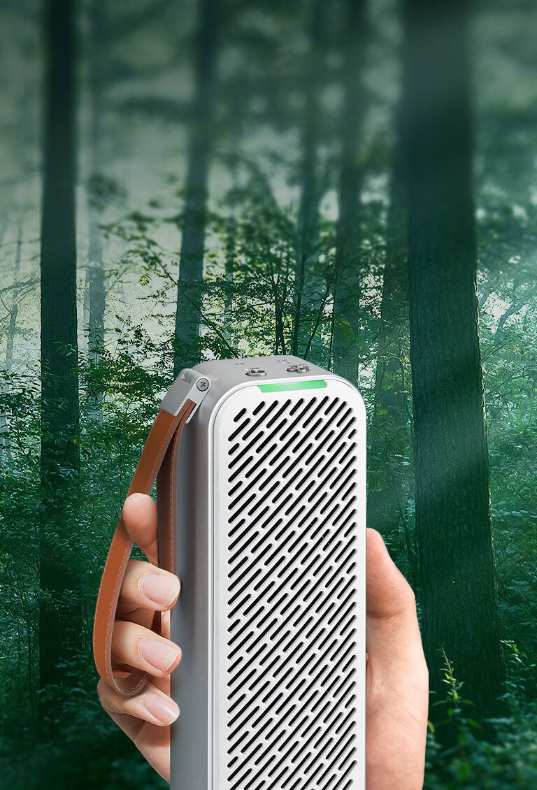 Действительно чистый воздух2