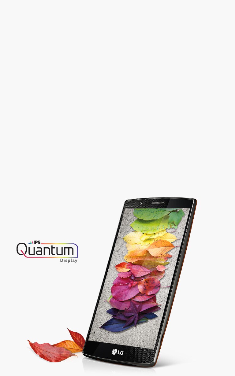 5.5-ДЮЙМОВЫЙ ДИСПЛЕЙ IPS QUANTUM*