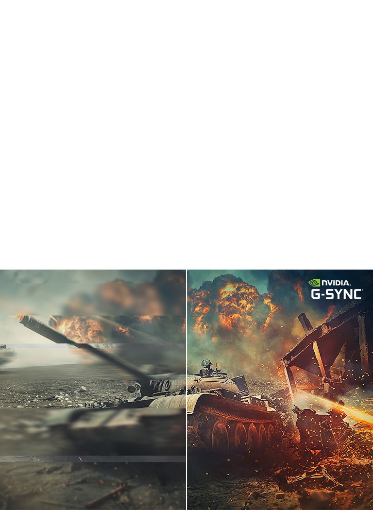 G-SYNC® совместимый монитор уменьшает разрывы и задержку для более мягкого и быстрого игрового опыта