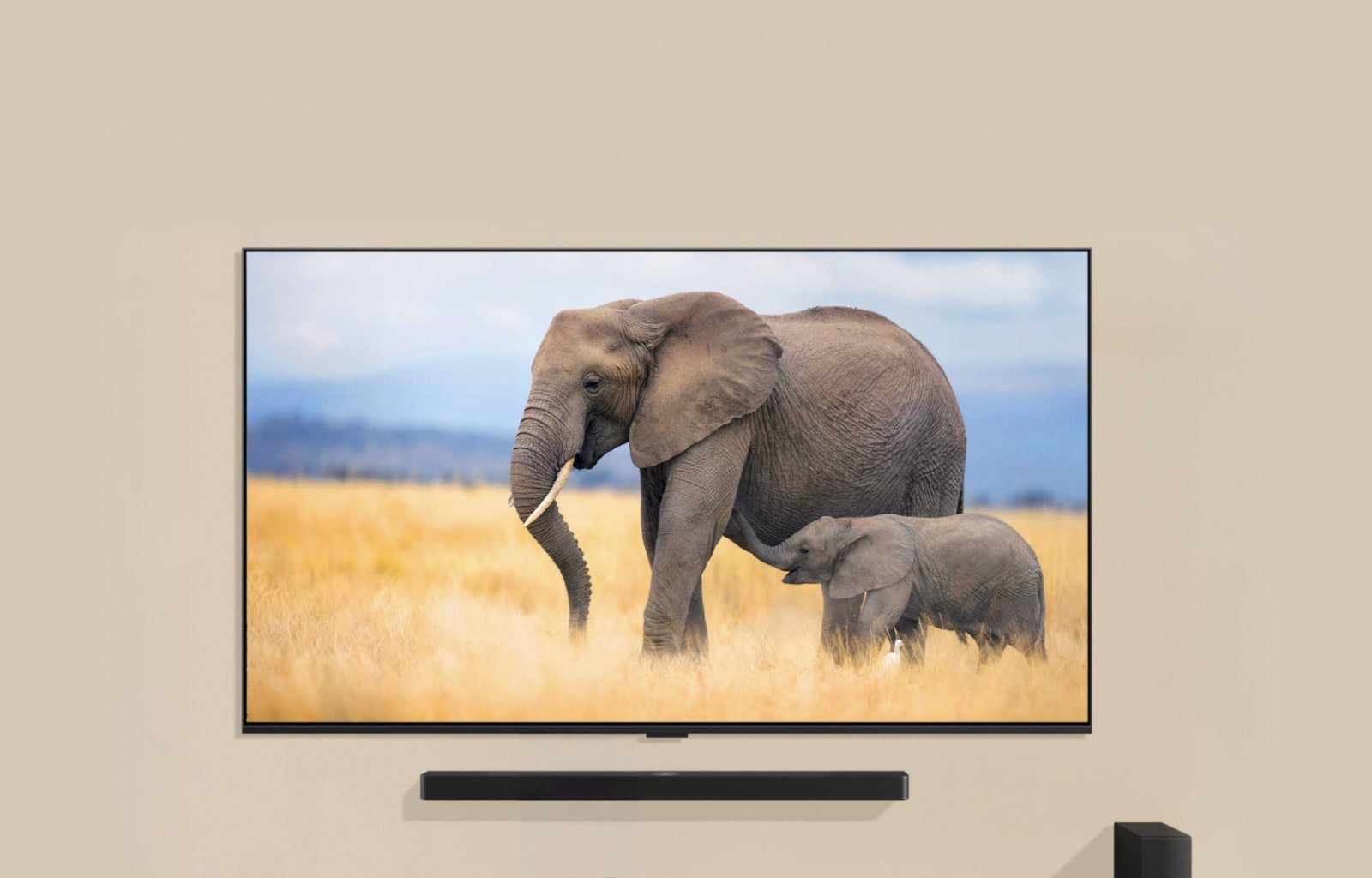 Телевизор LG TV, установленный на стене в гостиной, и звуковая панель LG Soundbar, установленная прямо под ним. На экране телевизора демонстрируются два слона, а перед телевизором стоит маленький ребенок.