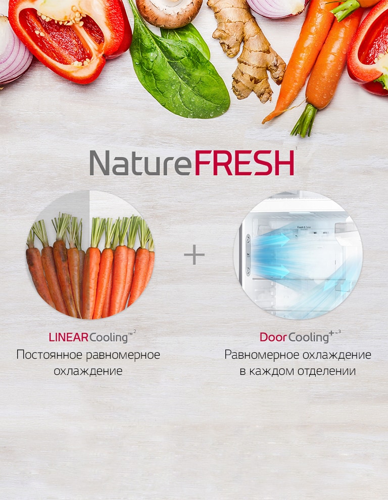 Nature Fresh