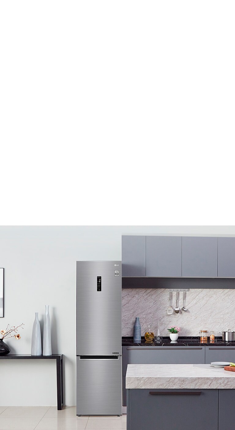 Holodilnik Lg Ga B509mmqz Harakteristiki Obzory Gde Kupit Lg Rossiya