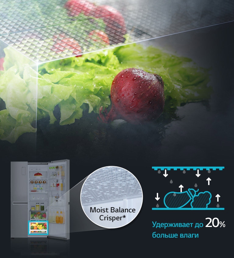 Holodilnik Lg Gc B247jmuv Harakteristiki Obzory Gde Kupit Lg Rossiya