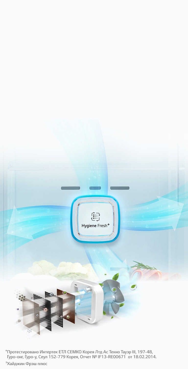 Hygiene Fresh+ убивает до 99,9%¹ бактерий 2