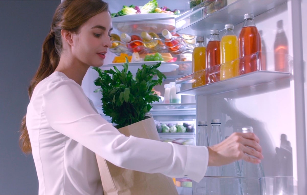 Holodilnik Lg Ga B509ceqm Harakteristiki Obzory Gde Kupit Lg Rossiya