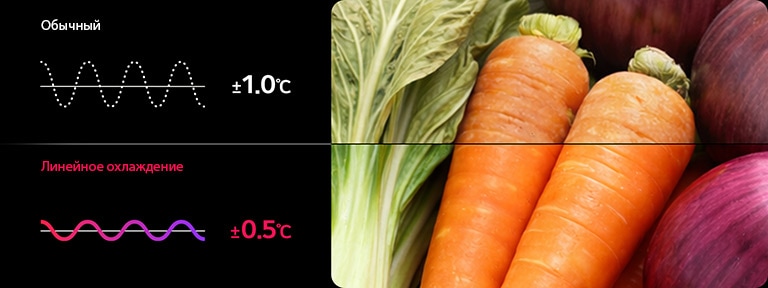 Сохраняет свежесть продуктов дольше