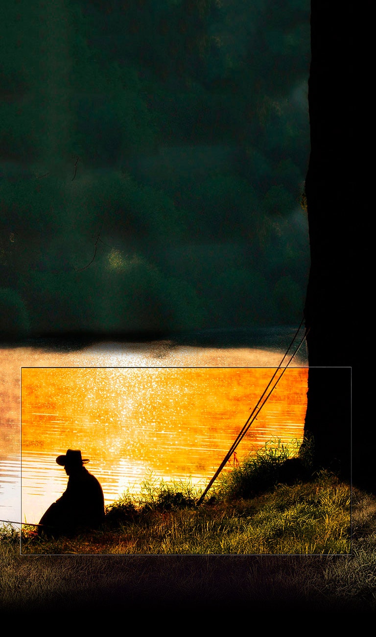 LG OLED E8 Глубокий чёрный. Великолепный контраст