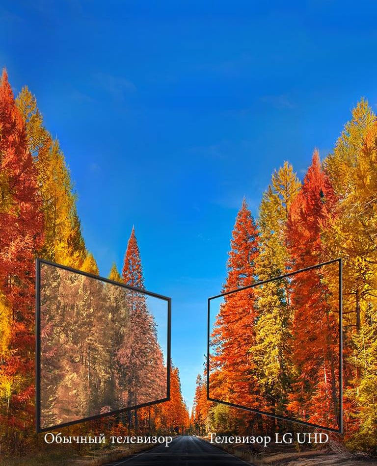 Одинаковое изображение под любым углом<br>2