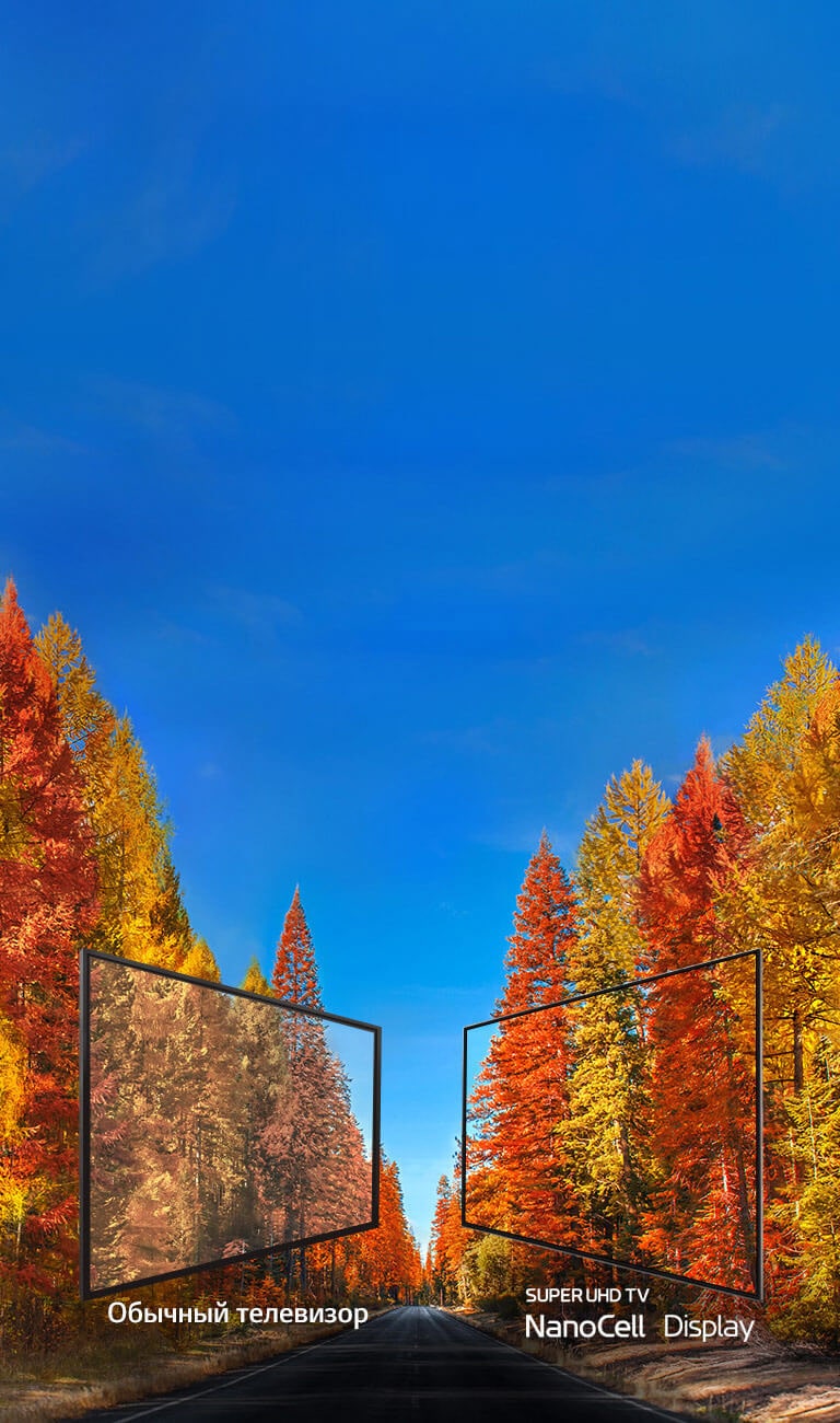 Познайте истинные цвета на телевизоре