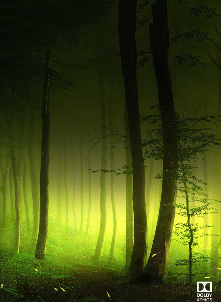 LG OLED C8 Dolby Atmos® Звук как в кинотеатре у вас дома