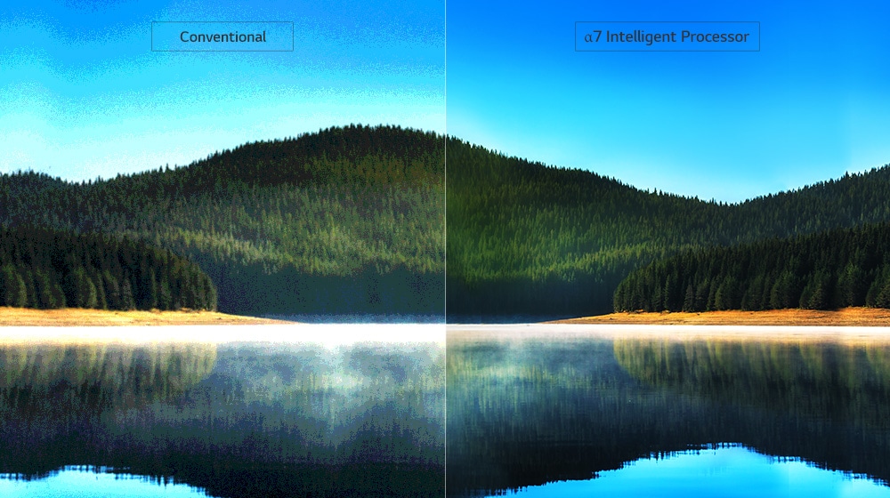 LG OLED  .  