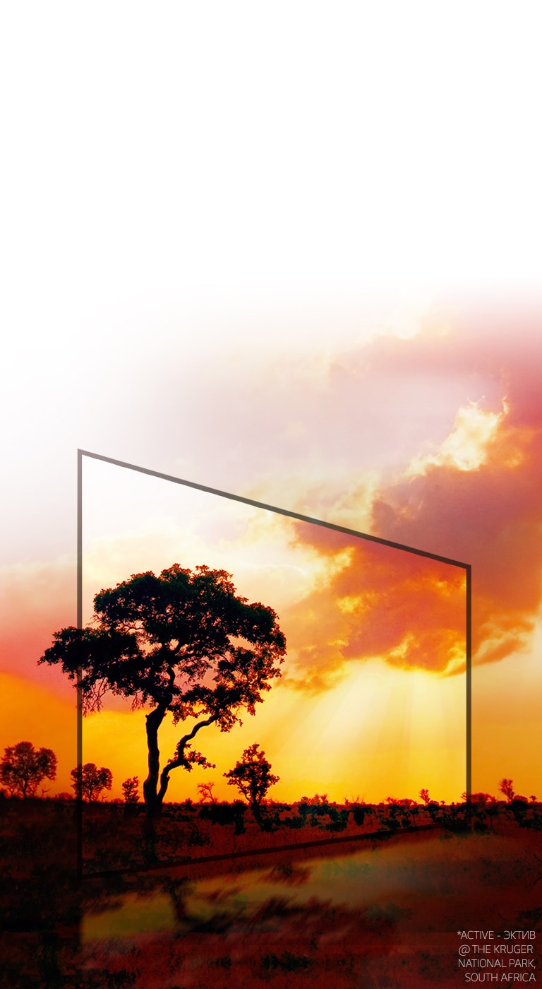 Active* HDR — для максимального качества картинки2