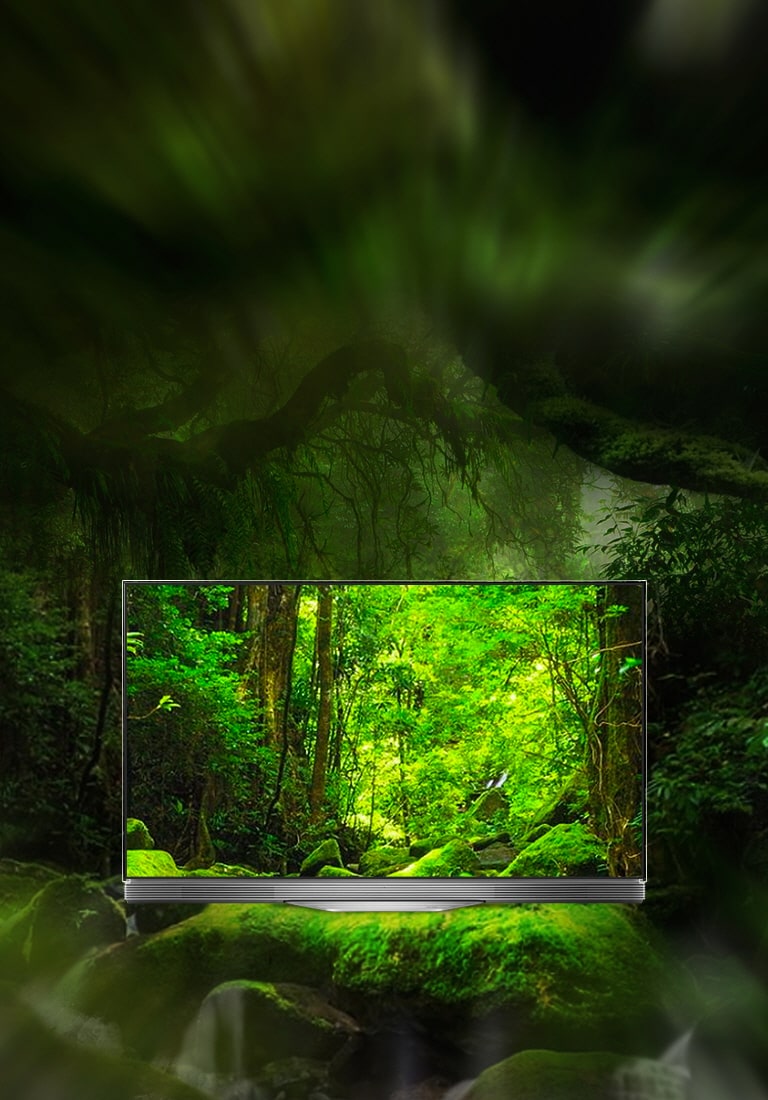 Кинозвук у вас дома2