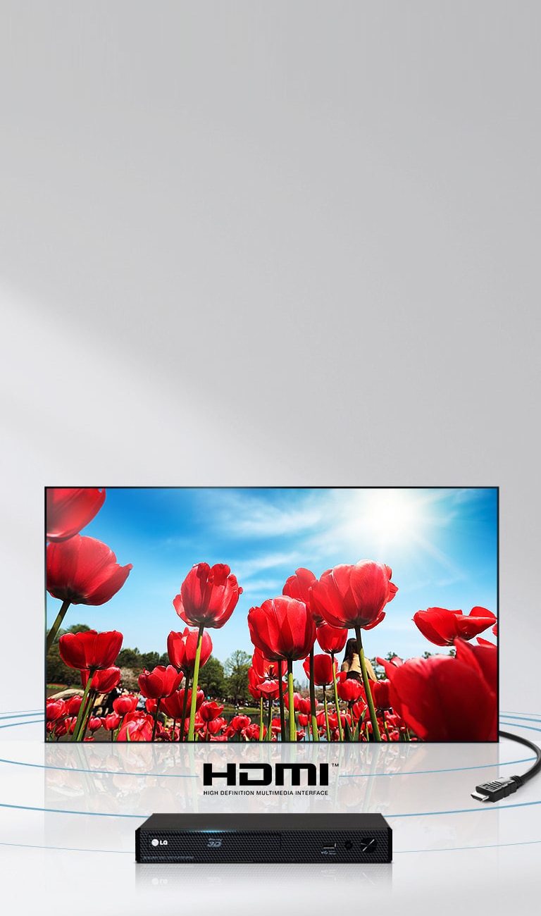 HDMI — для максимального качества звука и картинки