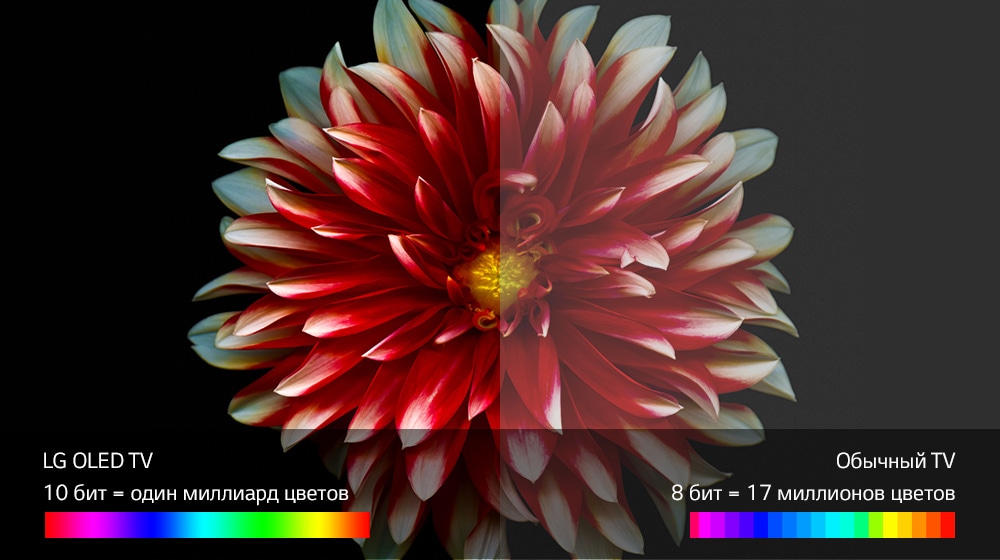 Мастерство передачи цвета1