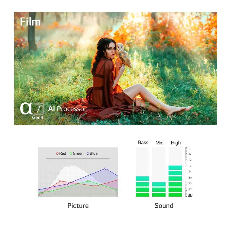 Две сцены с изображением и звуком, автоматически оптимизированным с помощью процессора a9 Gen4 с технологией искусственного интеллекта (просмотр видео)