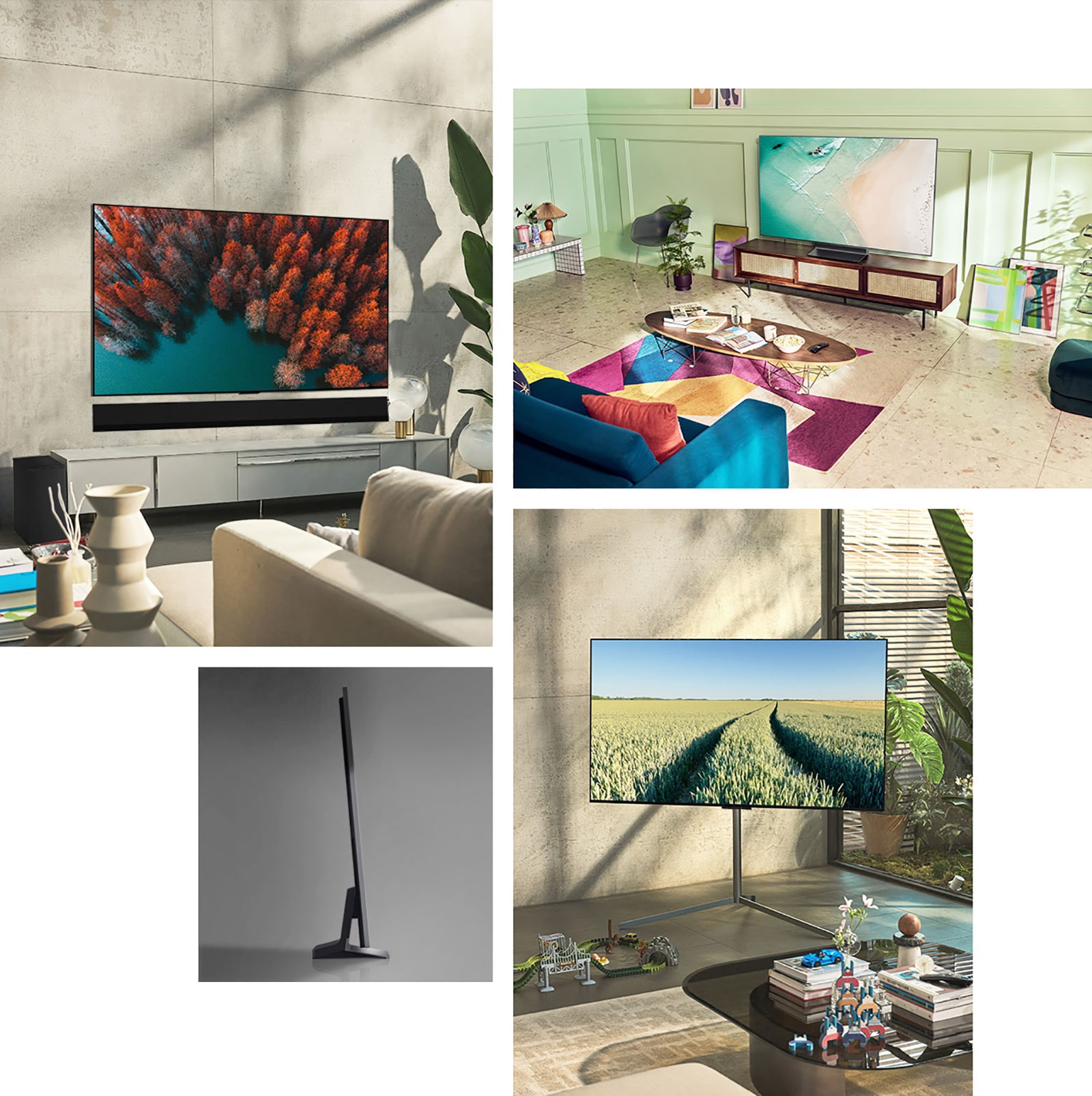 An LG OLED G2 is hung on the wall in a living room with plants, a pile of books, and a vintage-style cabinet. An LG OLED G2 is hung on the wall in a minimalist-looking room beside a shelf with monochrome ornaments. A side view of the ultra-slim edge of LG OLED G2. An LG OLED G2 is hung on a colorful living room wall with a dried planet, diffuser, and vases. A close-up of an edge on the ultra-slim LG OLED G2.