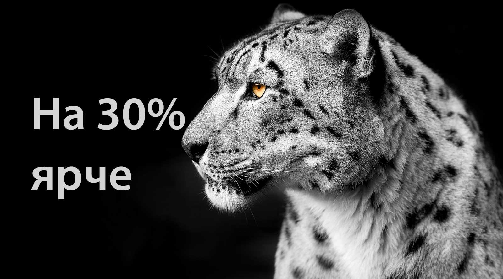 Белый леопард, поворачивающий голову в профиль, находится на левой стороне изображения. Слова «На 30% ярче» появляются слева.