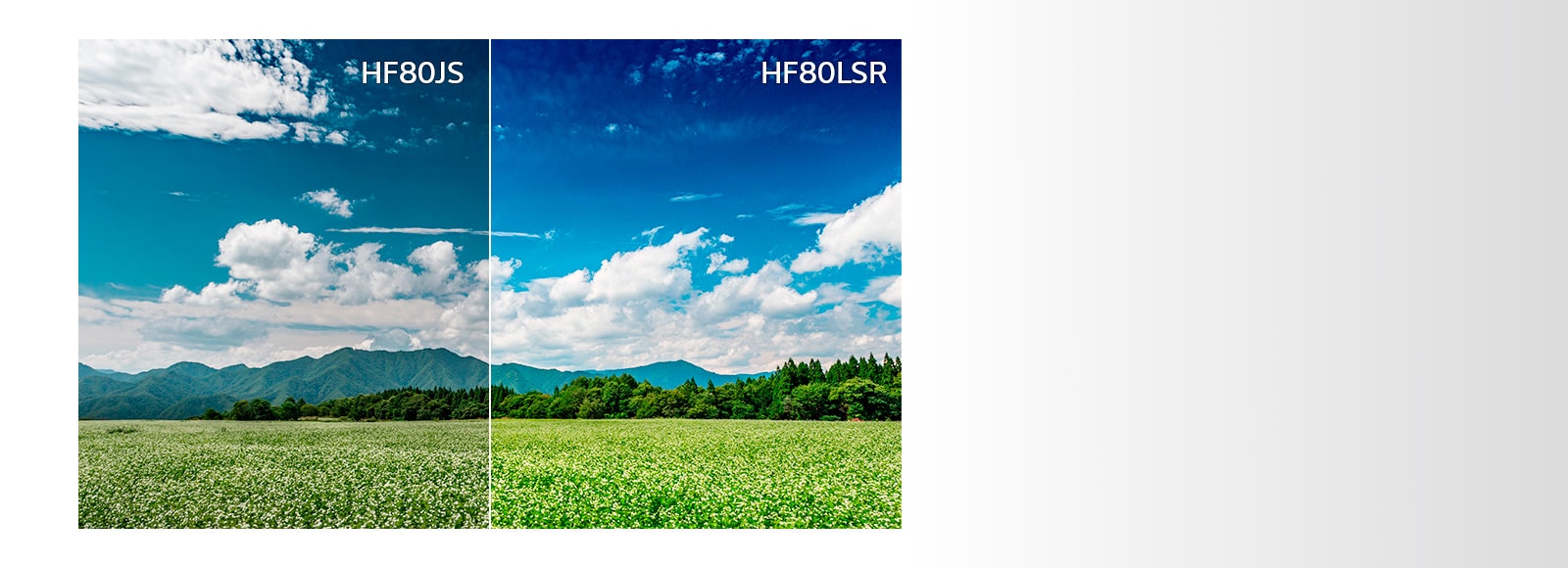 Улучшенная яркость1