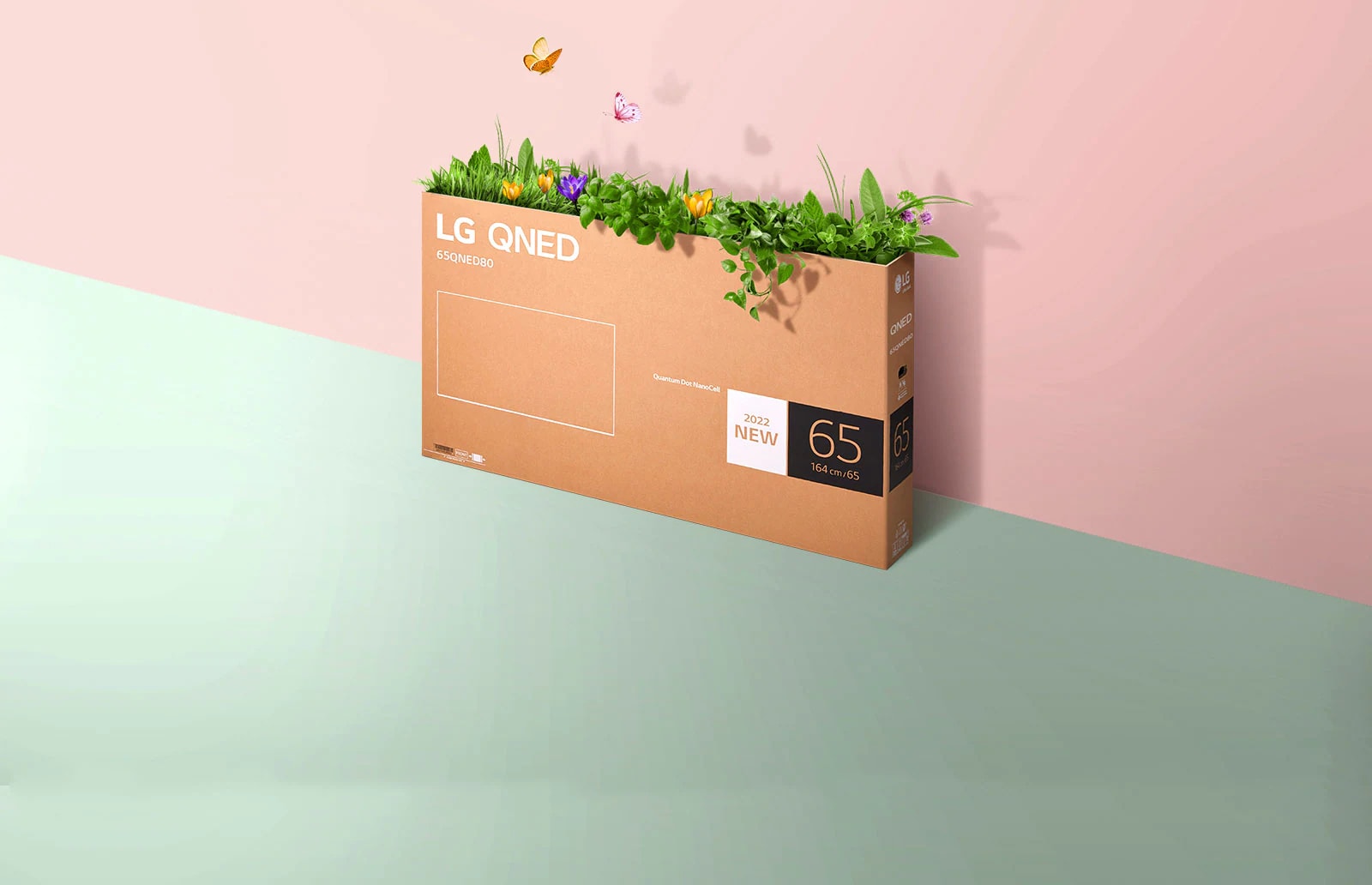 The QNED packaging box is set against a pink and green background, with grass growing inside and butterflies flying out.