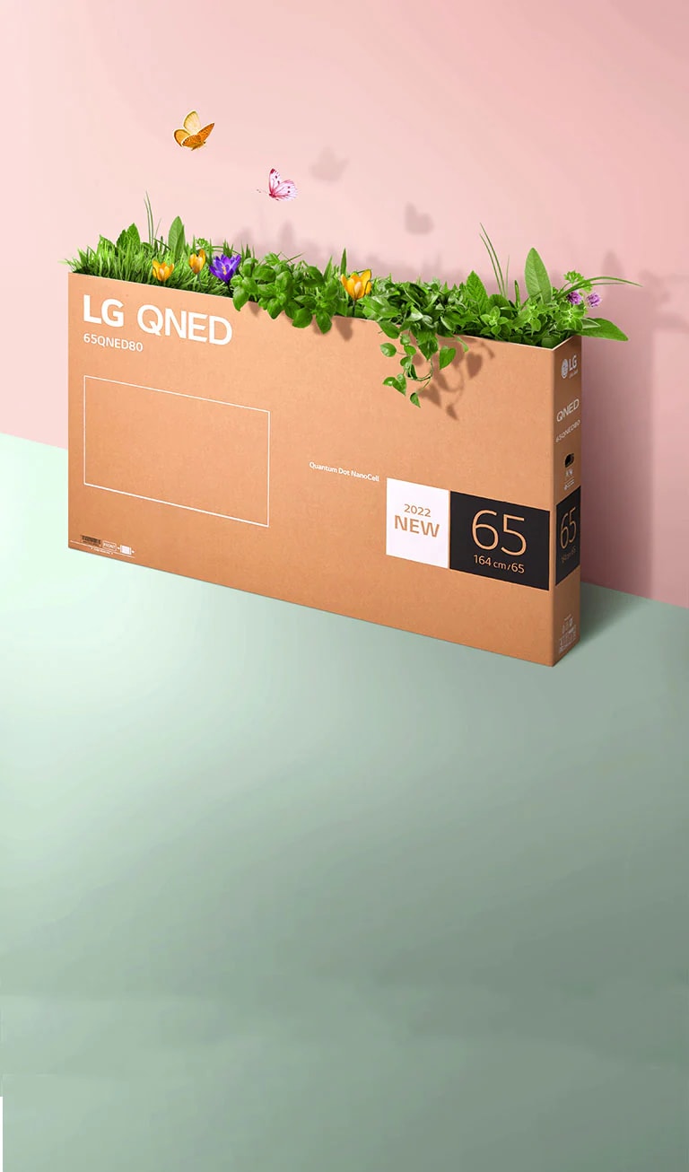 The QNED packaging box is set against a pink and green background, with grass growing inside and butterflies flying out.