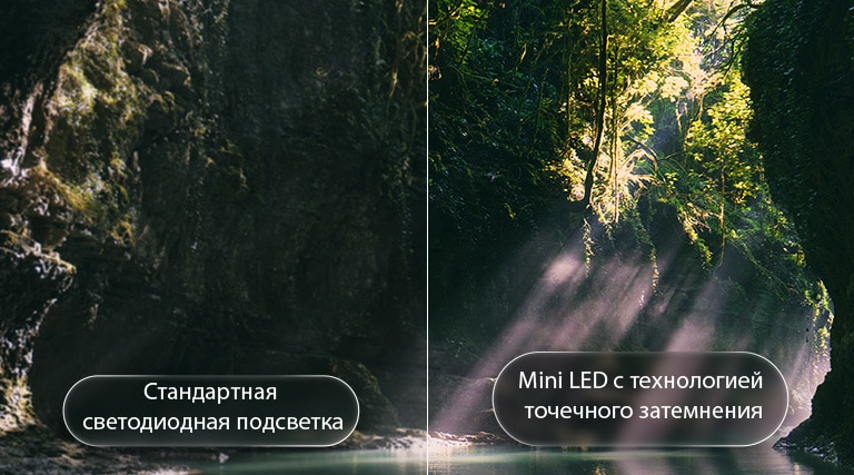 LG QNED evo AI QNED85 Mini LED демонстрирует технологию Mini LED с Precision Dimming на примере разделенного изображения леса, в сравнении с обычным LED, демонстрируя более глубокий черный цвет, более четкий контраст и глубину при отображении солнечного света, проникающего среди деревьев.