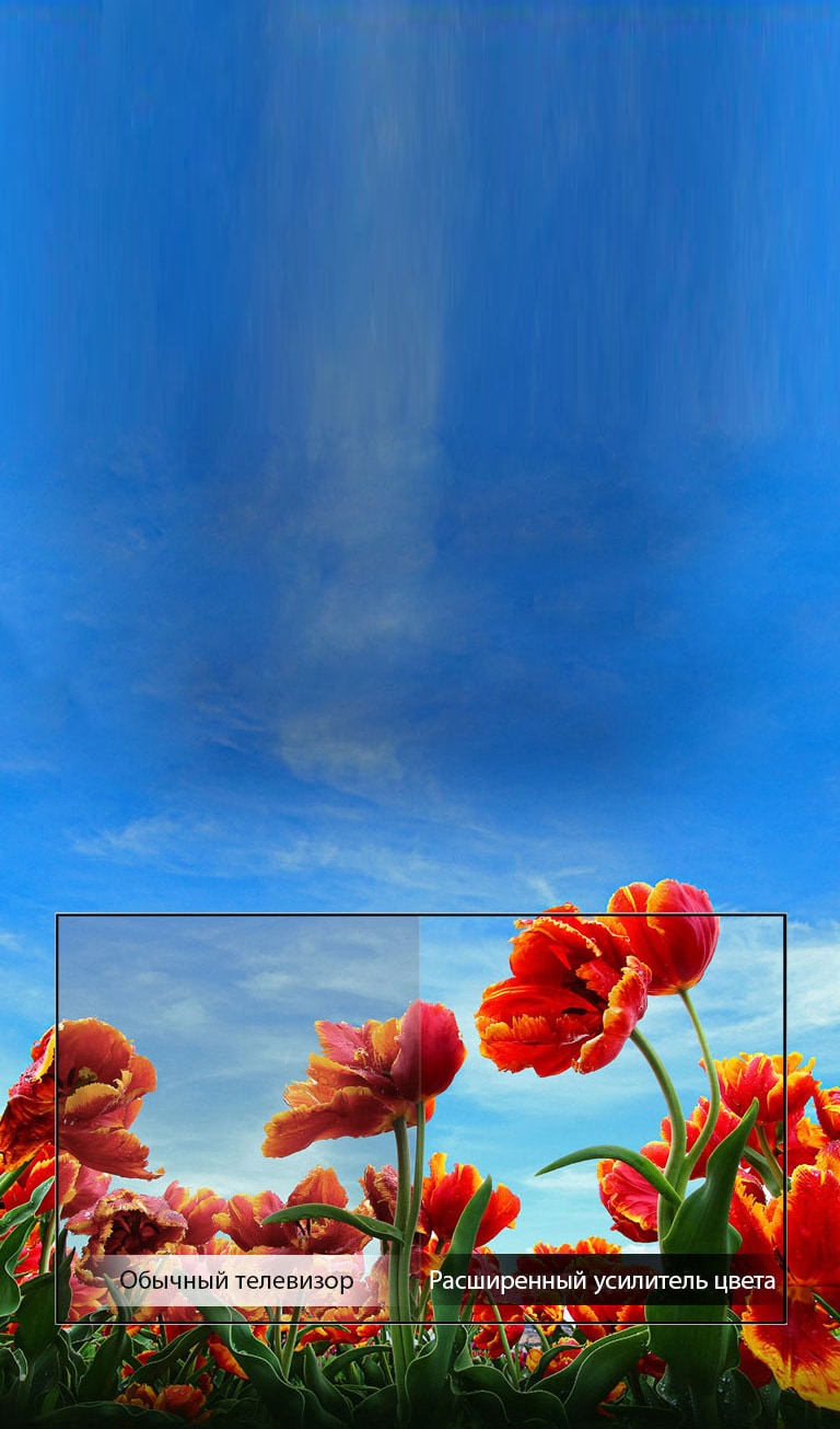 Динамический усилитель цвета2