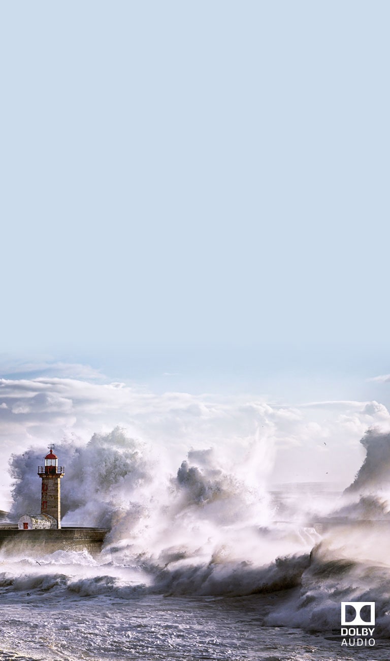 Dolby Audio™<br>Звук, как в настоящем кинотеатре2