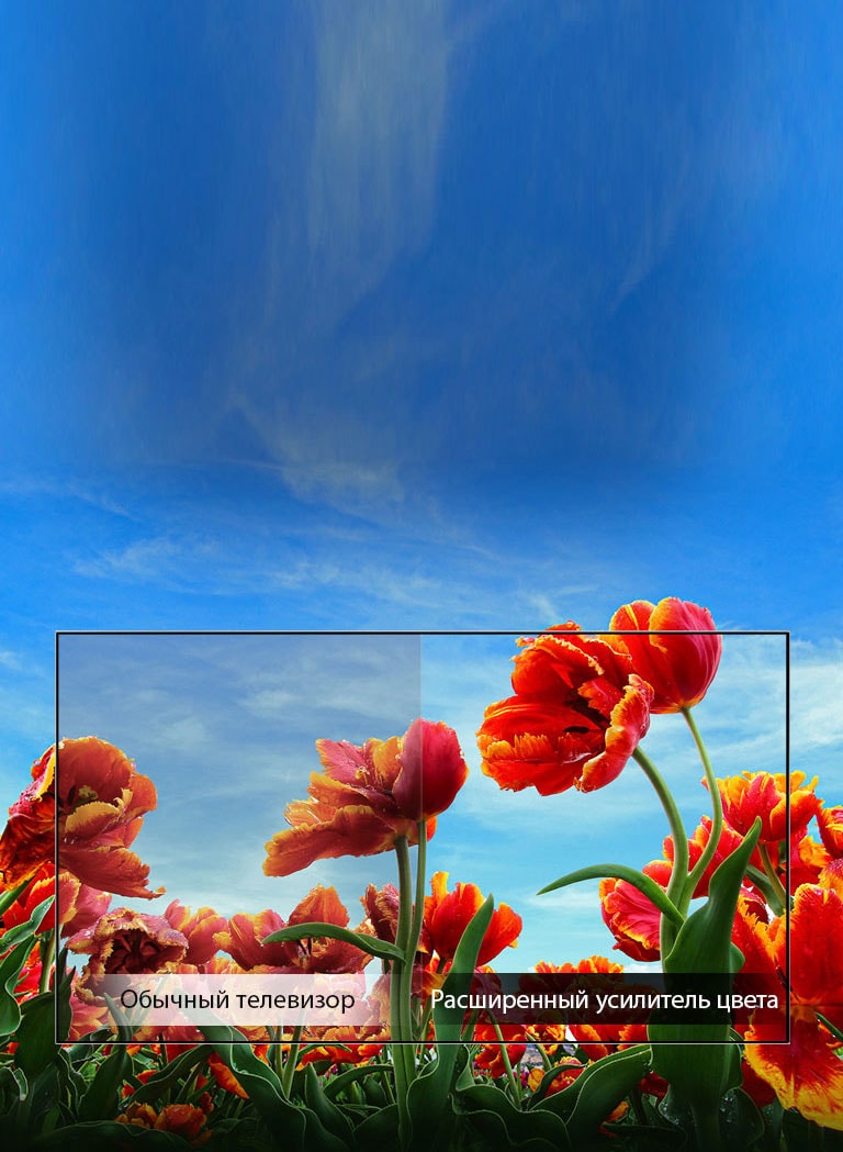 Динамический усилитель цвета2