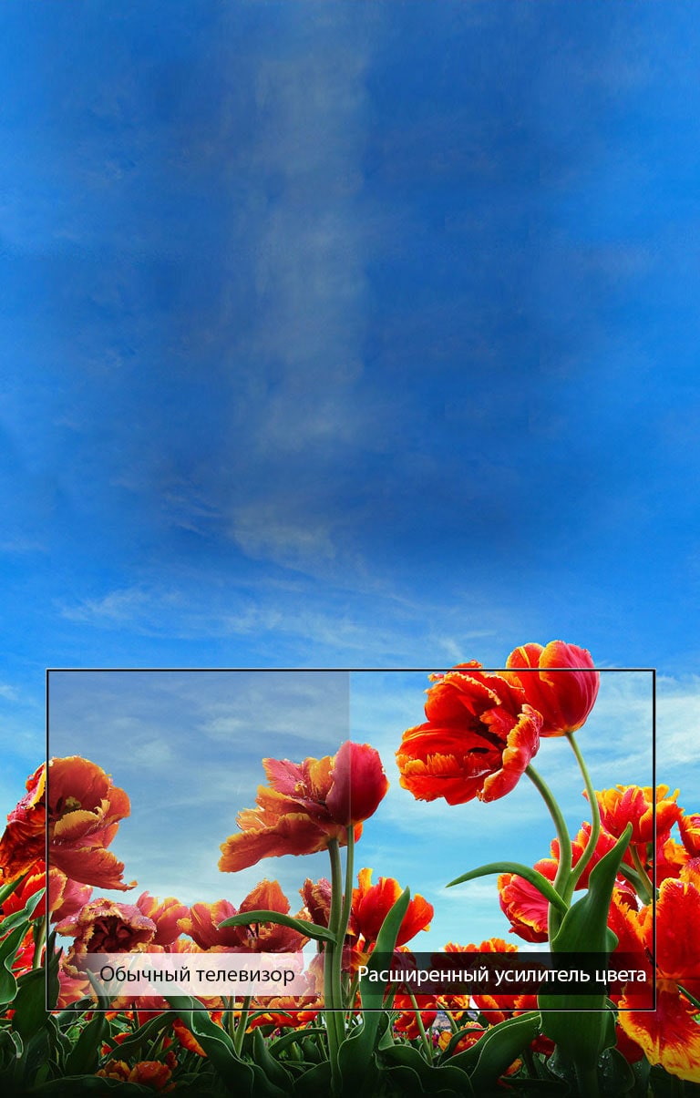 Динамический усилитель цвета2