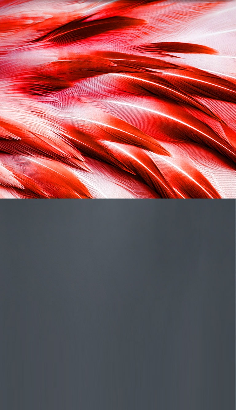 Почему Real 8K?2