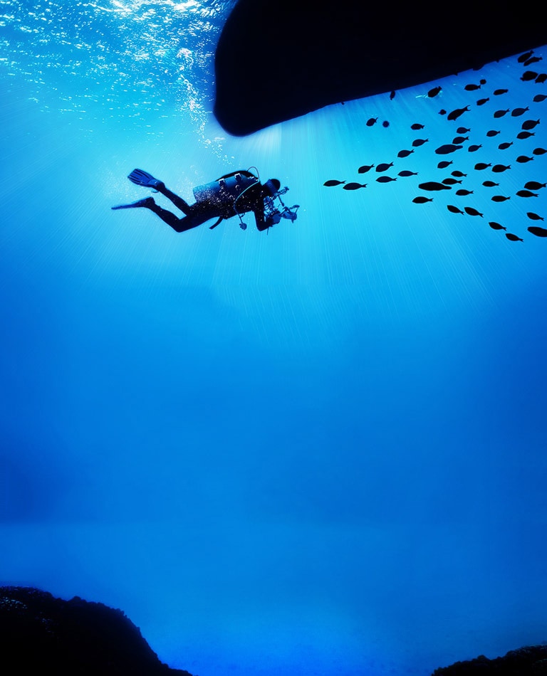 Идеальный черный<br>Вдыхает жизнь в картинку2