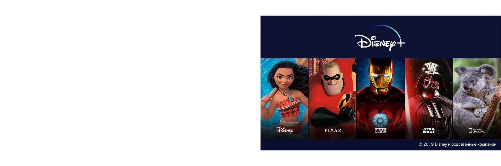 Всё, что вы любите - в одном месте1