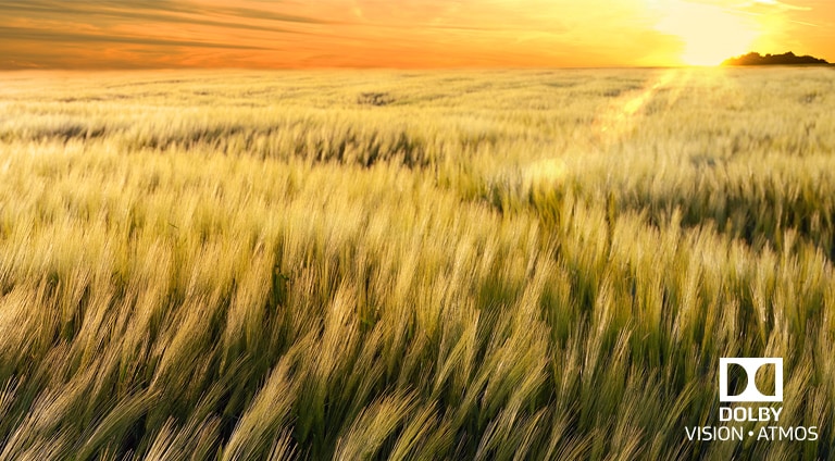 Домашний кинотеатр<br>Dolby Vision и Atmos2
