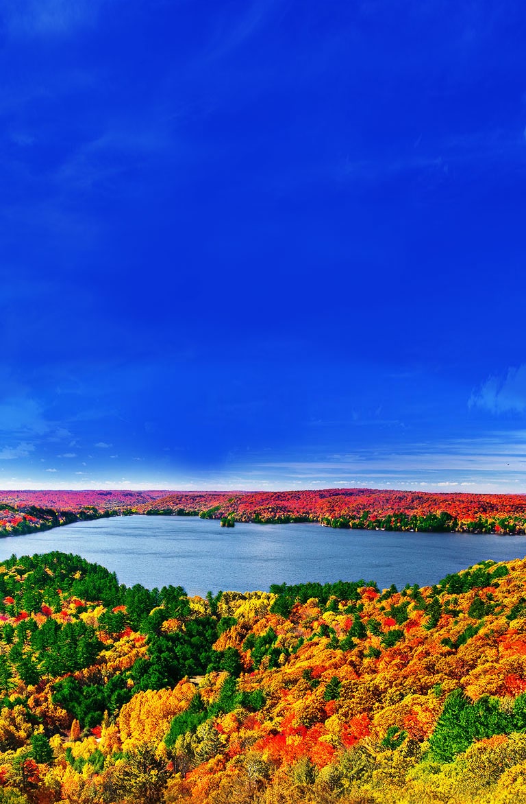 Cекрет потрясающей реалистичности изображений<br>2