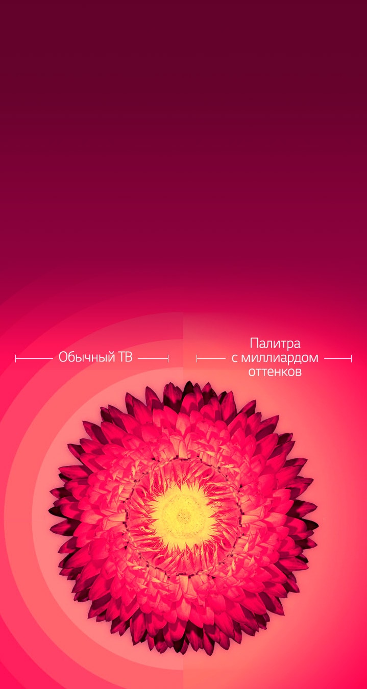 Палитра с миллиардом оттенков