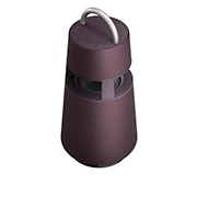 LG Портативная акустическая система LG XBOOM 360 RP4 | До 10 часов, RP4, thumbnail 4