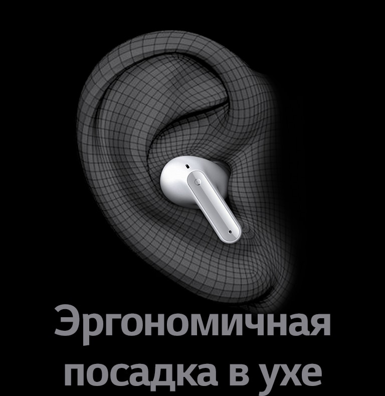 Дизайн в форме ушной раковины