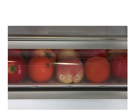 LG Встраиваемый холодильник белого цвета с технологией No Frost в холодильной и морозильной камере, GR-N309LLA, thumbnail 4