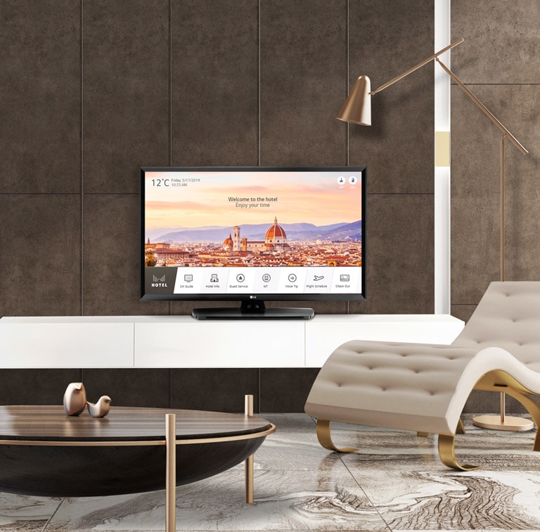 Стандартный гостиничный телевизор с Pro:Centric Smart2