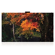 LG LED дисплей для внутреннего использования LG LAS012DB7-F | Серия LAS | шаг пикселя: 1.26 мм, модульная конструкция, LAS012DB7-F, thumbnail 1