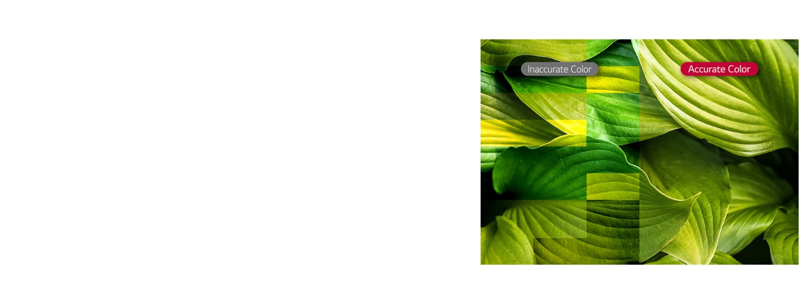 Яркость и точность цвета1